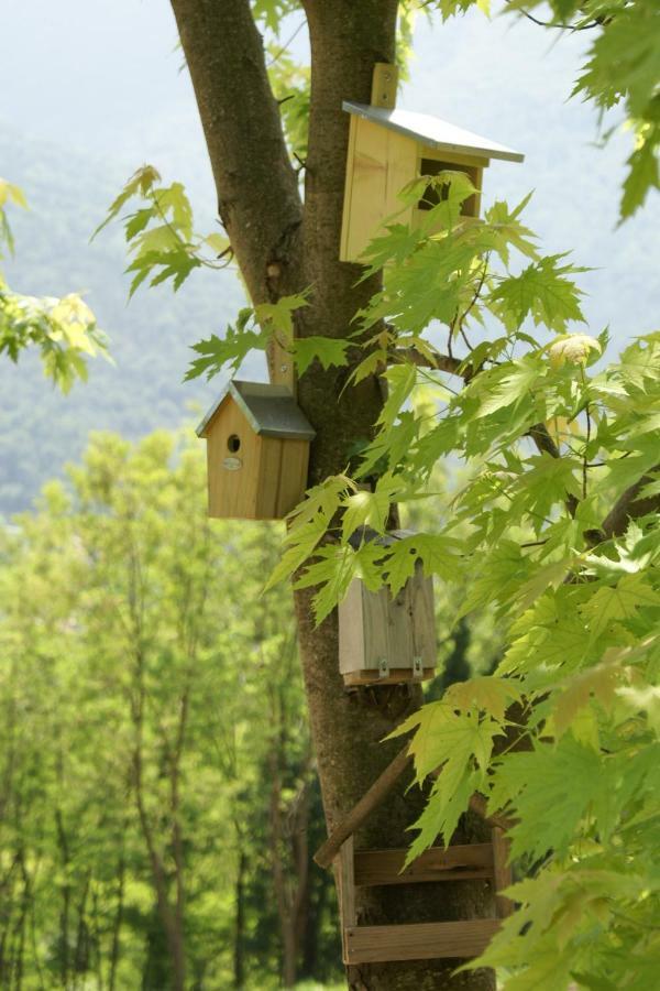 Coste Del Gaggio - Country House B&B - Garda Trentino Drena Exterior foto